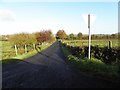 Gamblepark Road, Drumnabey