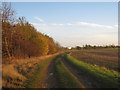 Approaching Ermine Street