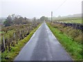 NY7889 : Road north-west of Gatehouse by Andrew Curtis