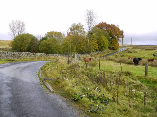Road below Shipley Shiels
