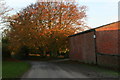 Autumn colours by Farthorpe Farm