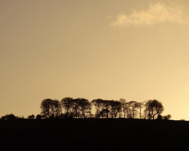 Derbyshire trees on the horizon