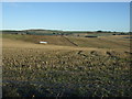 Rolling farmland near Kinmuck