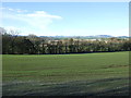 Crop field west of the B9001