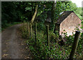 Track and footpath to the River Severn