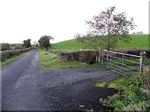 H3873 : Coolkeeragh Road, Culbuck by Kenneth  Allen