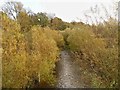 River Bollin near Manchester Airport