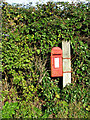 TM4394 : George V postbox in Waterheath by Evelyn Simak