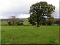 Aghnamoyle Townland