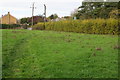 Footpath into Harlington