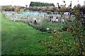 Allotments at Goswell End