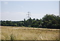 Pylon in grassland