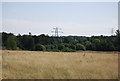 Grassland near Old Bexley