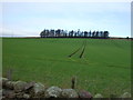 Farmland near Grange