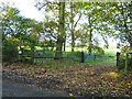 Start of footpath towards Lower Farringdon