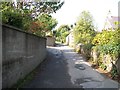 The entrance to Wild Forest Lane from Tollymore Road 