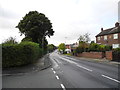 Yew Tree Lane, Dukinfield