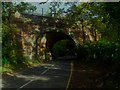 Bridge 516 carrying the Oxted line railway