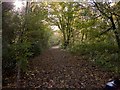 Footpath at Wenbans leading south