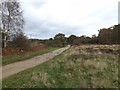 TM4572 : Sandings Walk Byway in Dunwich Forest by Geographer