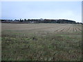 Farmland near the Glenesk Maltings