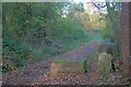 Footbridge over Seaham Dene