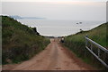 Track to the sea, Freshwater East