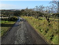 Track leading to New Laithe