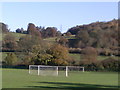 Goal nets - towards Abbey Park