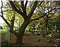 Various monuments, West Norwood Cemetery (28)