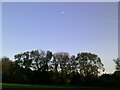 Moon above the South Bucks Way