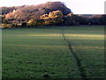 Path to Coneybank Wood