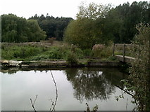 TQ0398 : River Chess near to Church End by Peter S