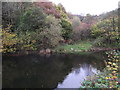 River Seiont near Pont Peblyg