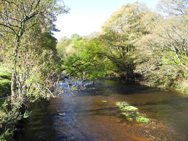 River Etherow (1)