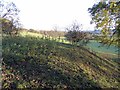 Site of former coal pit spoil heap near Station Road