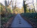 Station Road above Heddon Hall