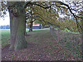 Footpath to Bush Wood, Great Easton