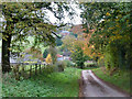 Looking down the hill