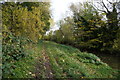 River Foss towards New Earswick