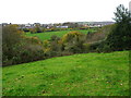 Grazing fields and woodland north of Coedpoeth