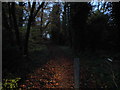 Bridleway between Dome Hill and Woodland Way