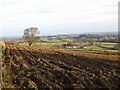 Ploughed field near Chesterknowes