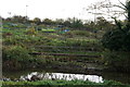 Allotments off Huntington Road