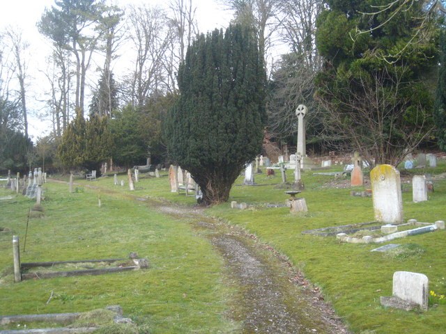 Yew tree in the cemetery at Pheasant's Hill