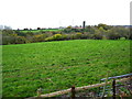 Grazing fields south of Vron Farm