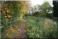 The riverside path towards Church Lane