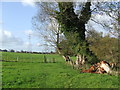 Footpath And Kissing Gate