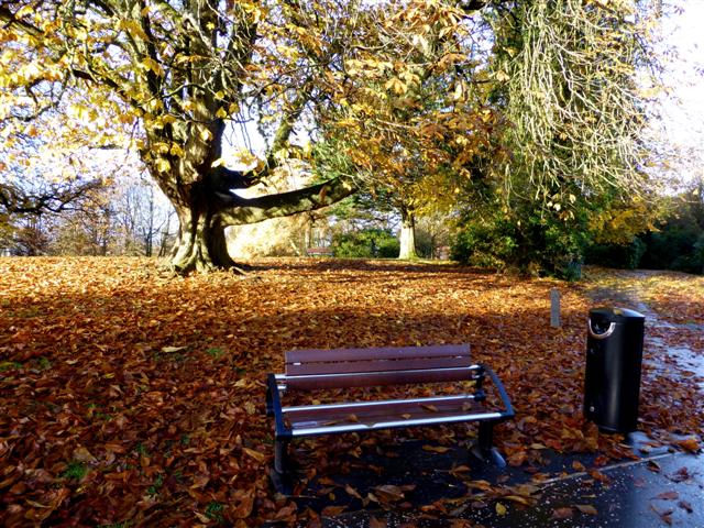 Fallen leaves, Grange Park, Omagh © Kenneth Allen cc-by-sa/2.0 ...