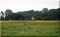 House across the meadow